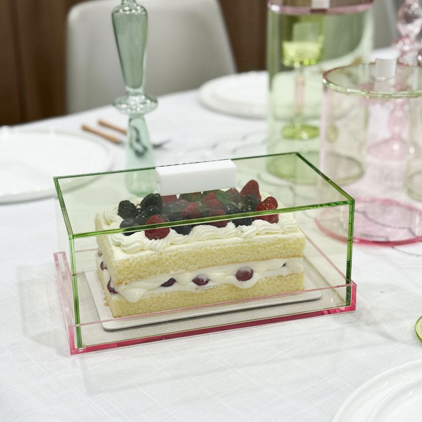 Lucite Green & Pink Rectangle Cake Dome