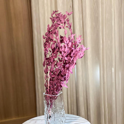 Slim Eucalyptus