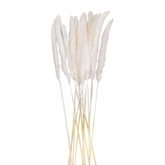 Mini Tail Reed Flower