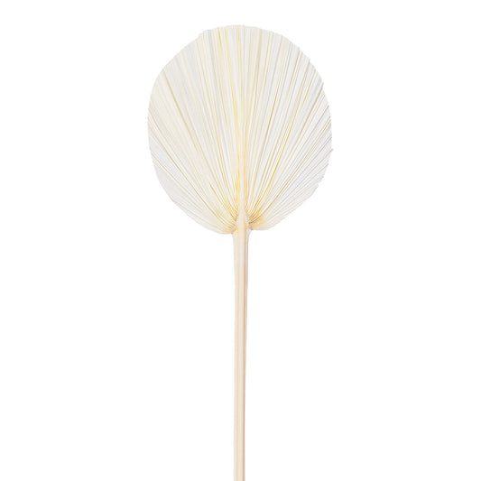 Palm Flower