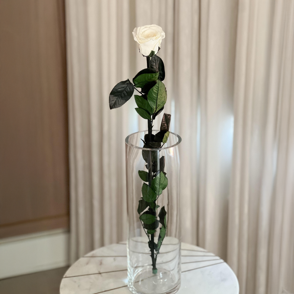 Long Stem Rose