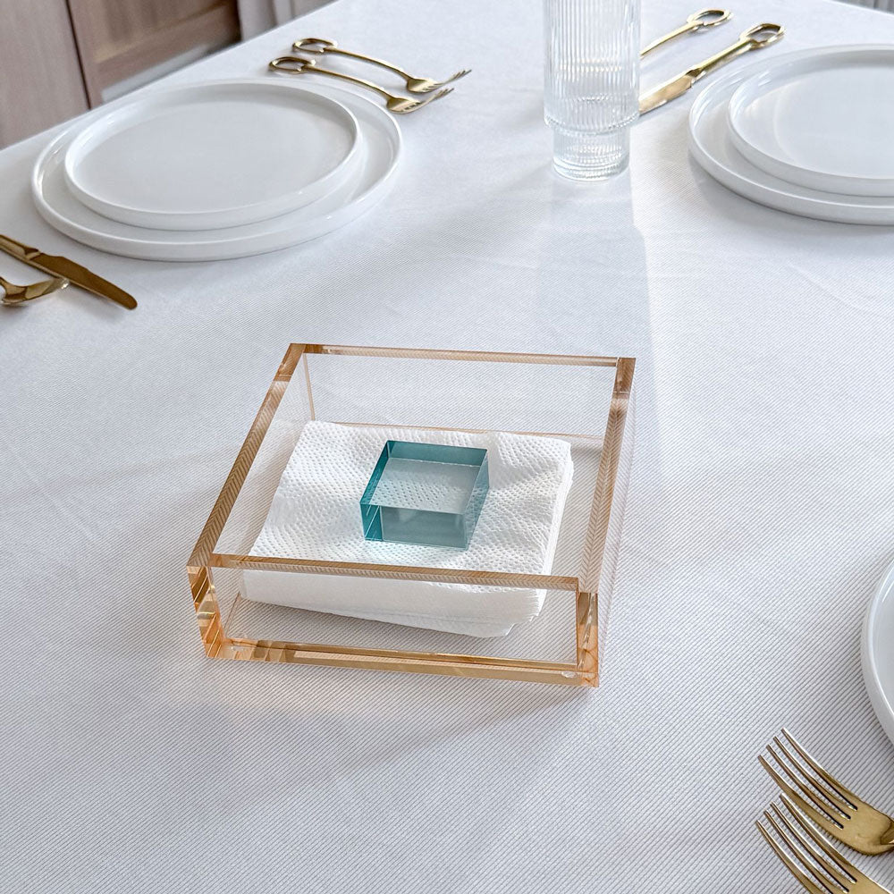 Amber Lucite Napkin Holder with Teal Block Weight